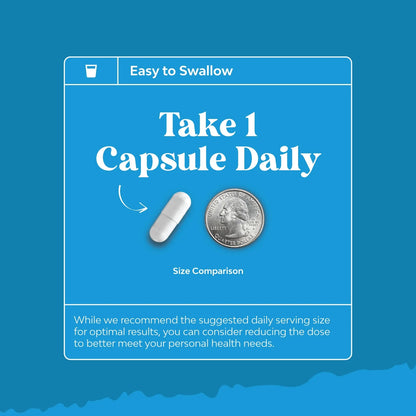 NAC Supplement N-Acetyl Cysteine 600Mg per Serving - Vegan High Absorption Non-Smelly NAC Capsules Glutathione for Liver Support plus Lung Health and Immunity Support (3 Months)