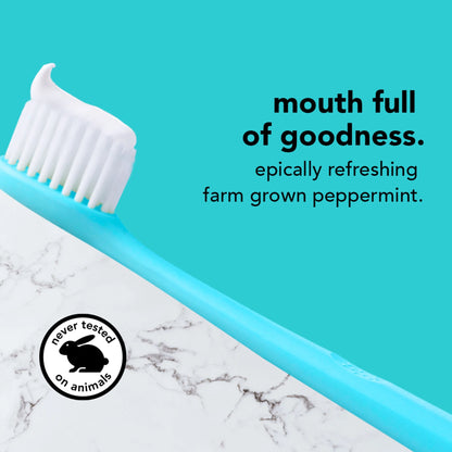 Antiplaque Whitening Fluoride Free Toothpaste, Natural Peppermint, 2 Pack, 4.7 Oz Tubes