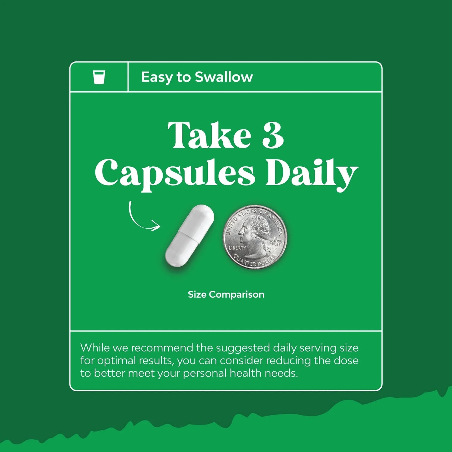 Ox Bile Salts for Gallbladder Support - Purified Bile Salts Supplement with Pancreatin Digestive Enzymes Ox Bile & Betaine HCL - Ox Bile Supplements for No Gallbladder & Digestive Health - 1 Month